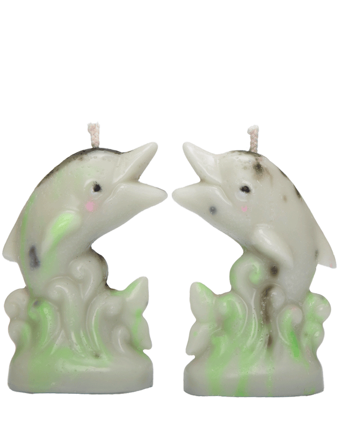 Dolphin Candles (Moss on the beach)