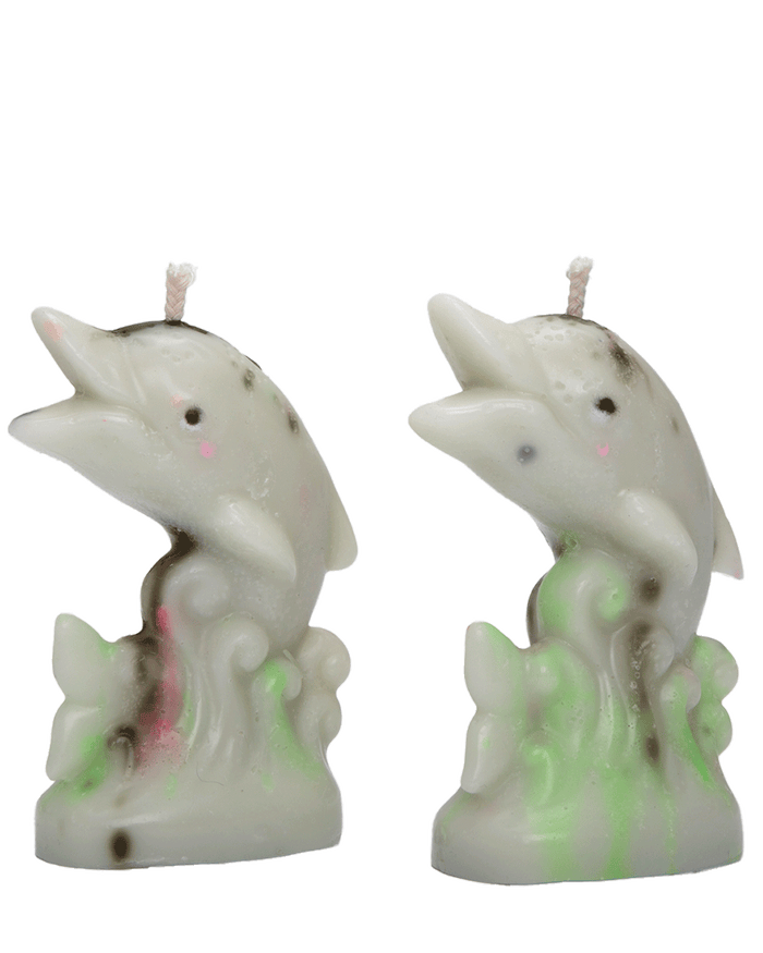 Dolphin Candles (Moss on the beach)