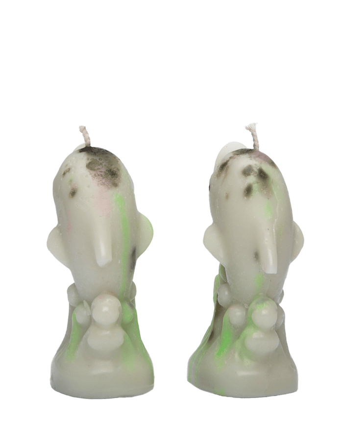 Dolphin Candles (Moss on the beach)