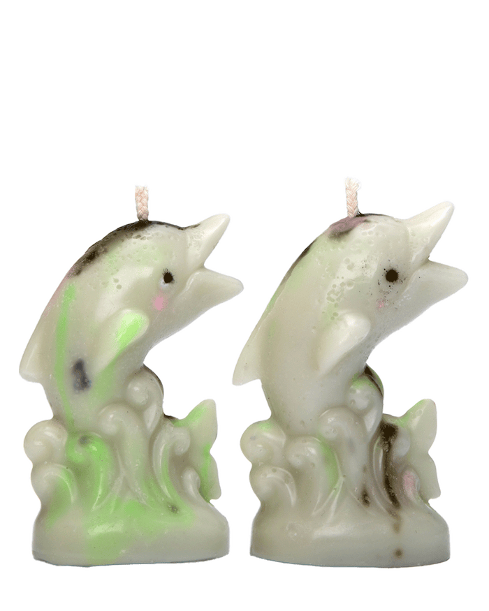Dolphin Candles (Moss on the beach)