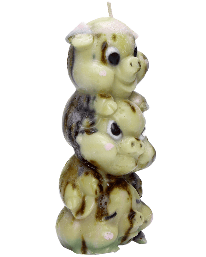 Pigs Candle (Camo)