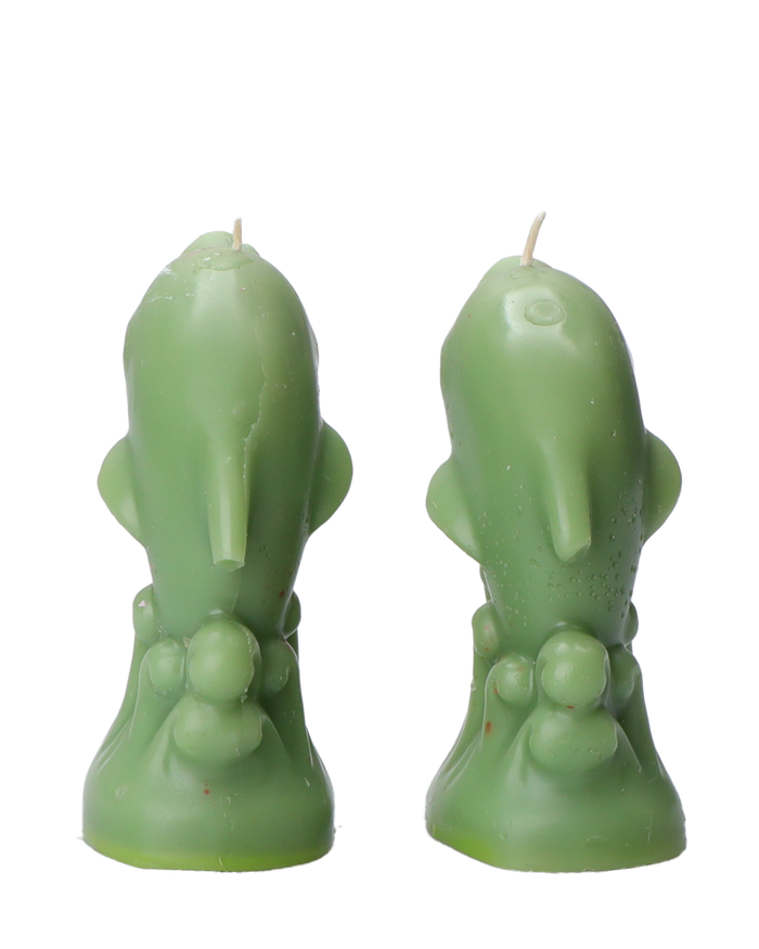 'Ugly' Dolphin Candles
