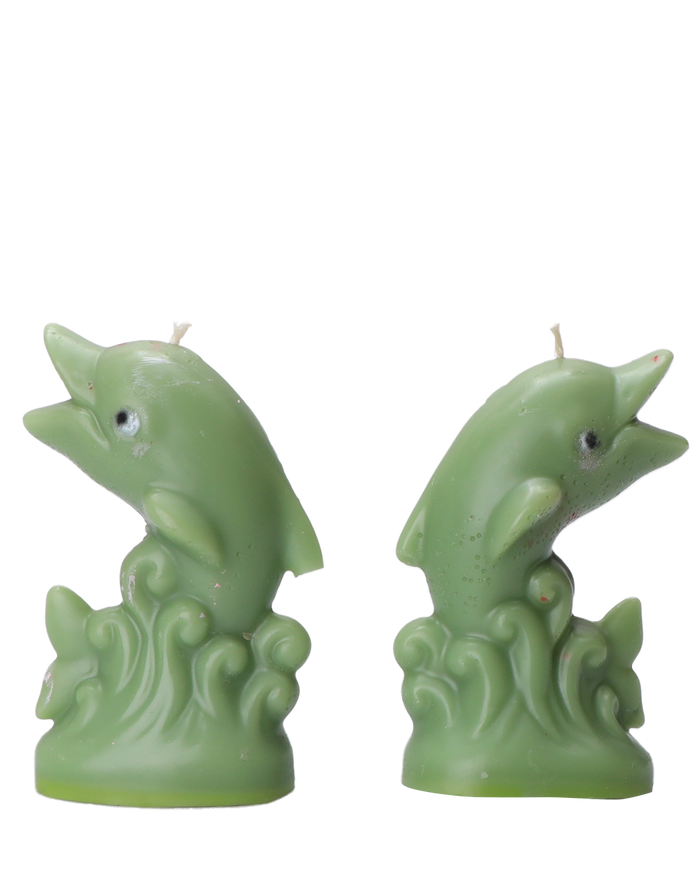 'Ugly' Dolphin Candles