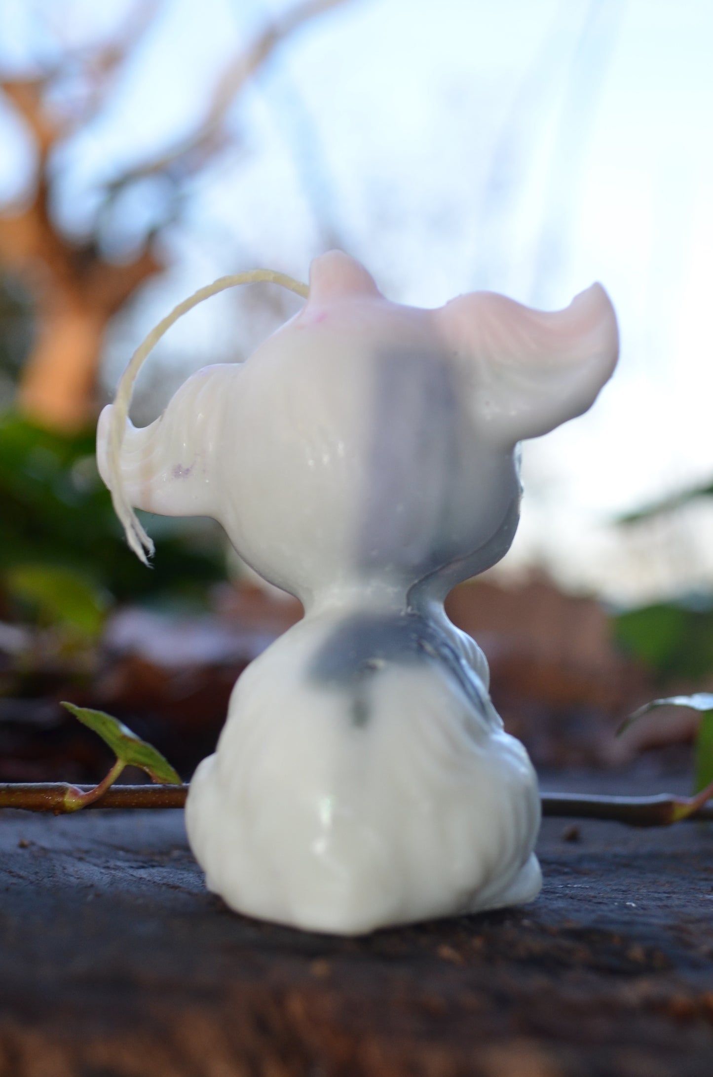 Puppy Candle 1